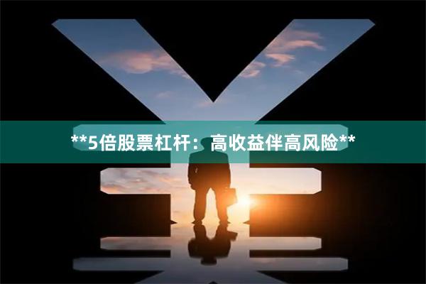 **5倍股票杠杆：高收益伴高风险**